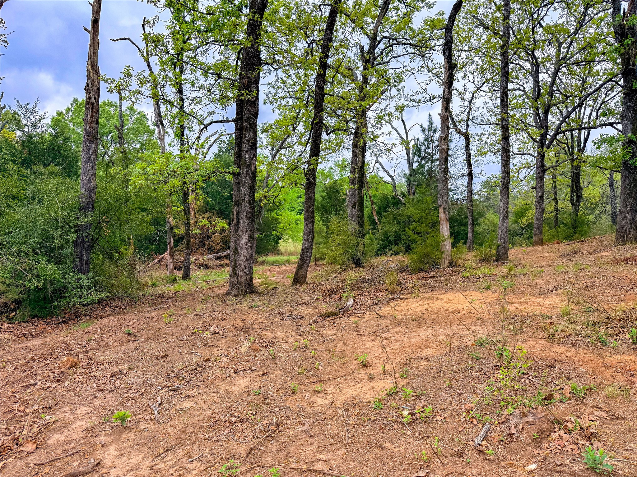 325 Fcr 261 Oakwood TX 75855