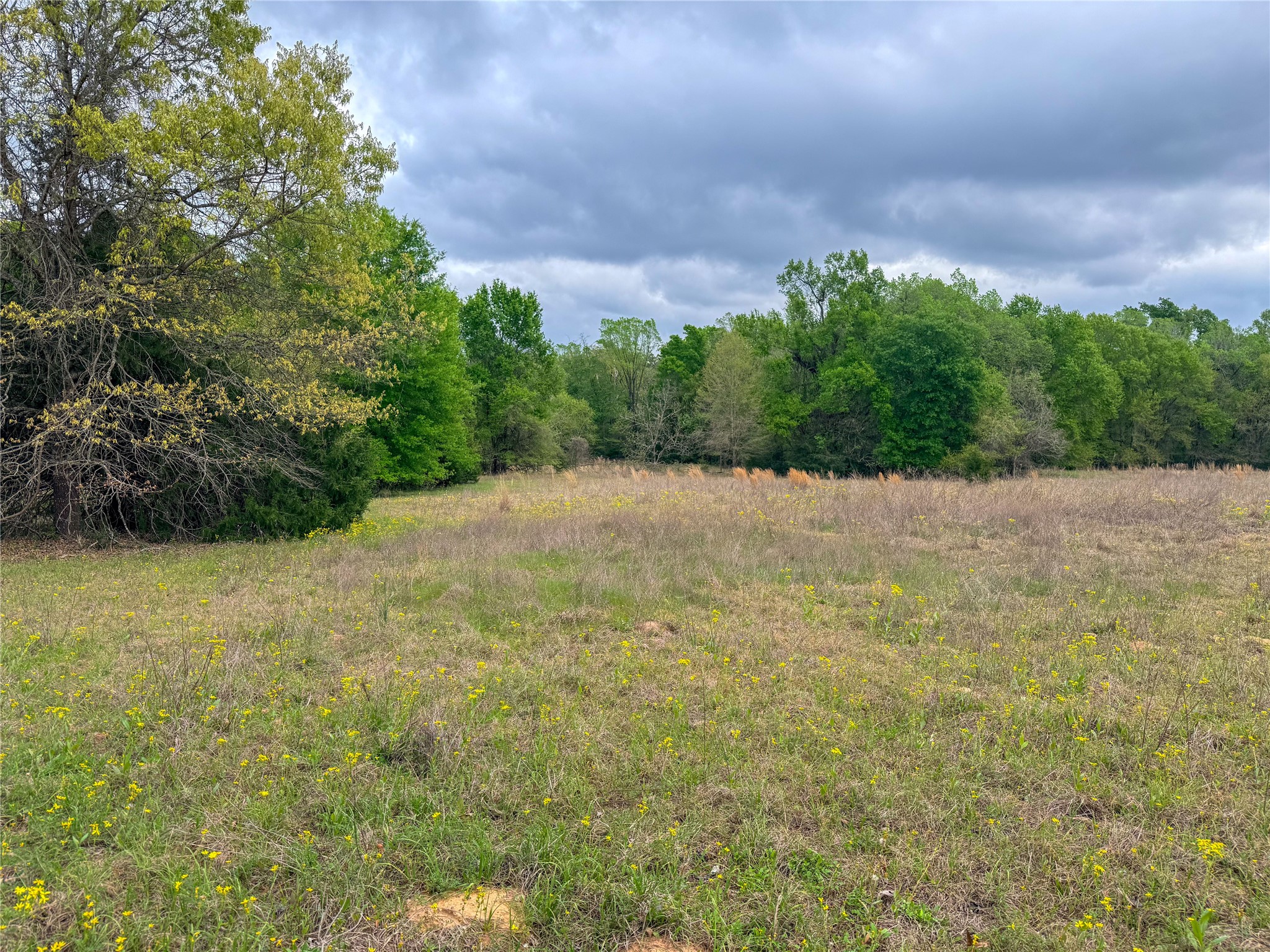 325 Fcr 261 Oakwood TX 75855