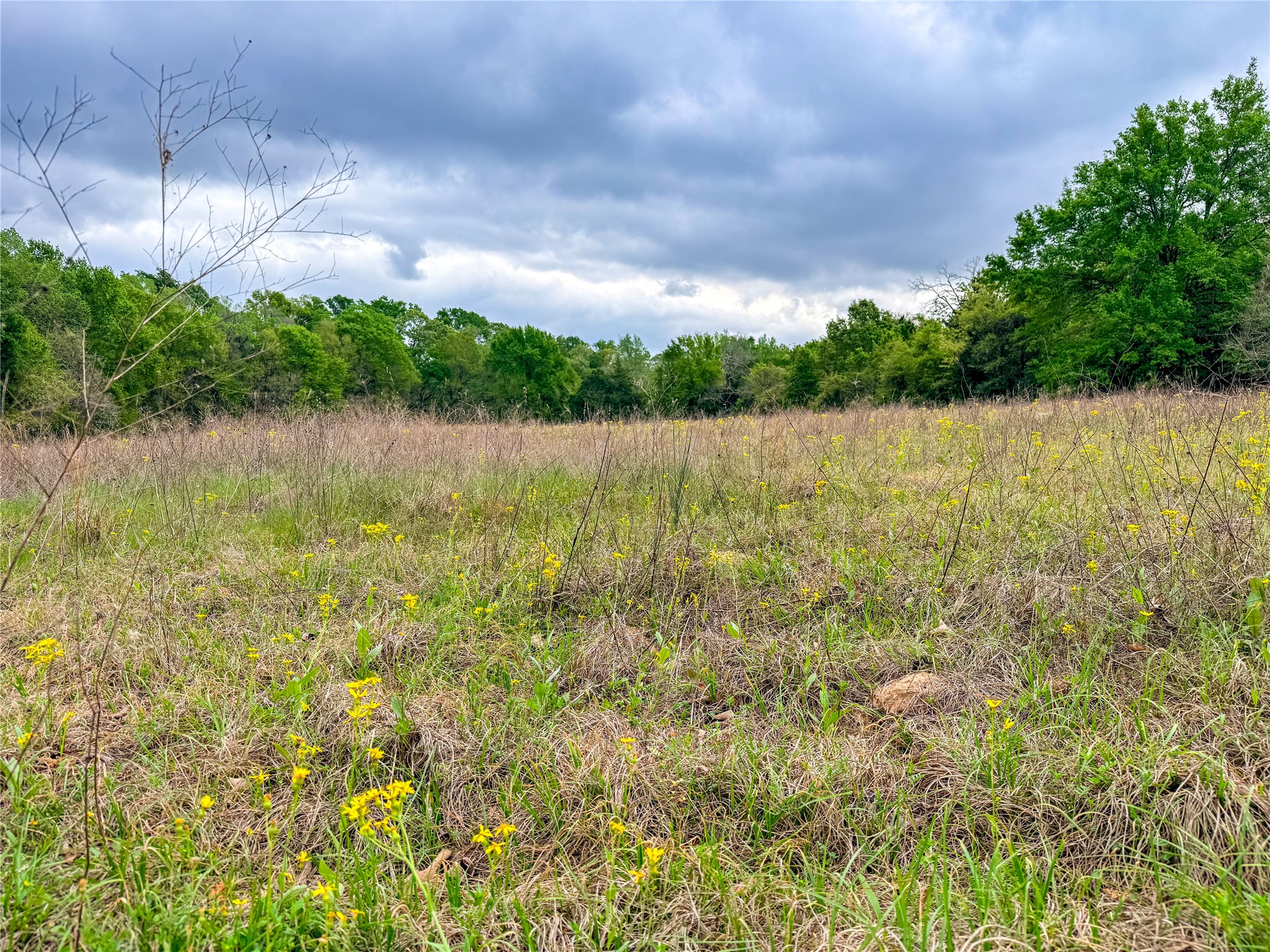 325 Fcr 261 Oakwood TX 75855