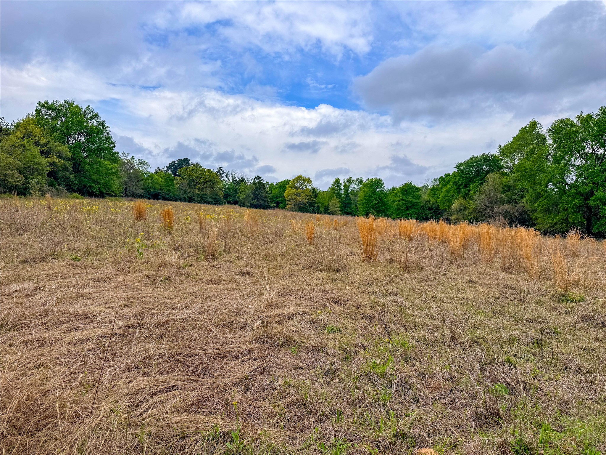 325 Fcr 261 Oakwood TX 75855