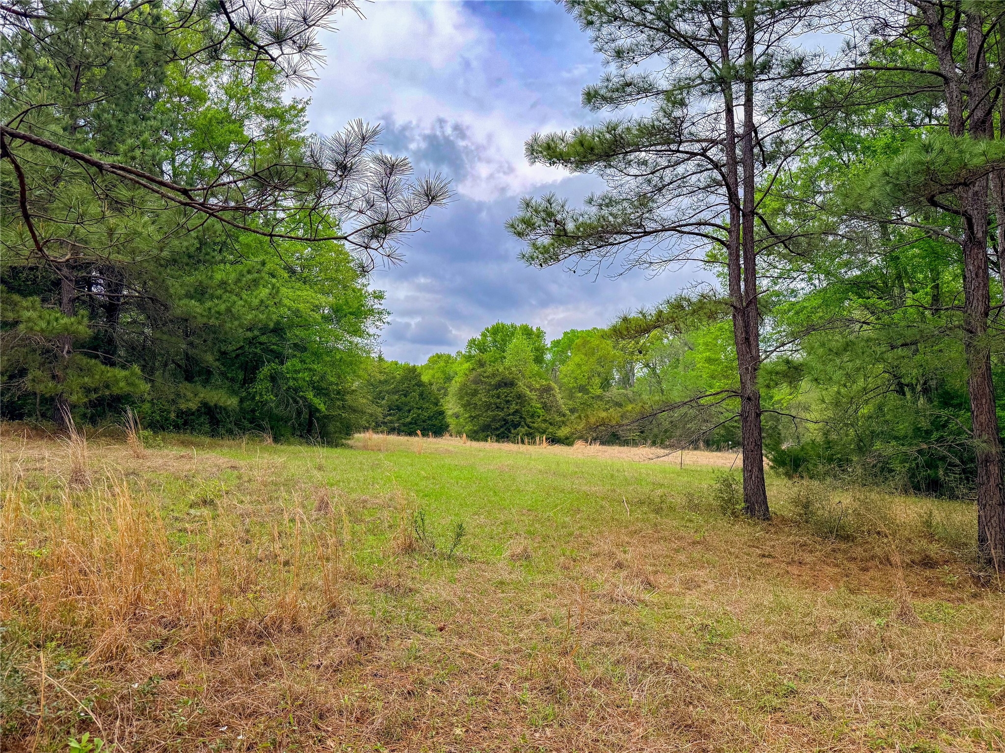 325 Fcr 261 Oakwood TX 75855