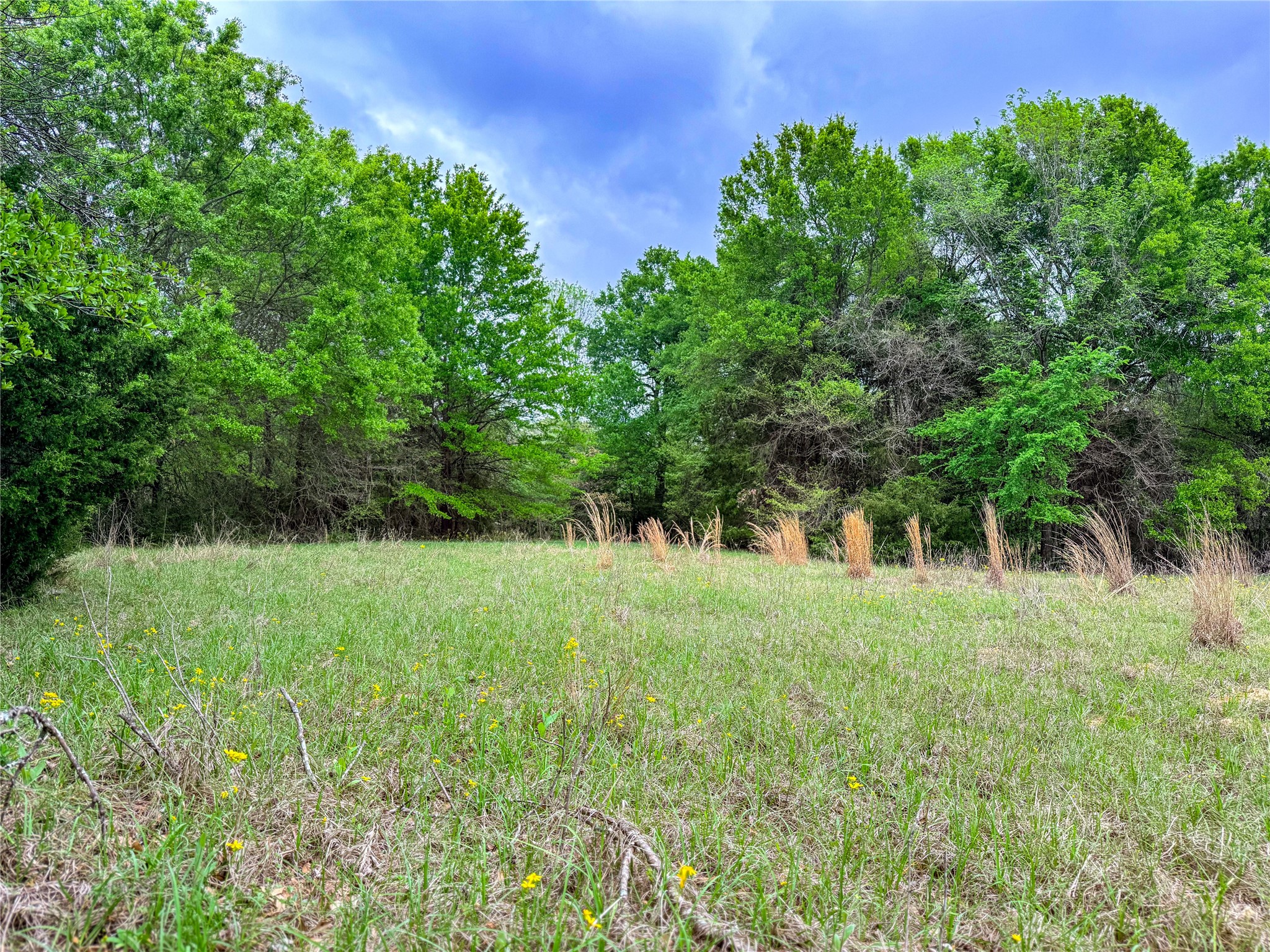 325 Fcr 261 Oakwood TX 75855