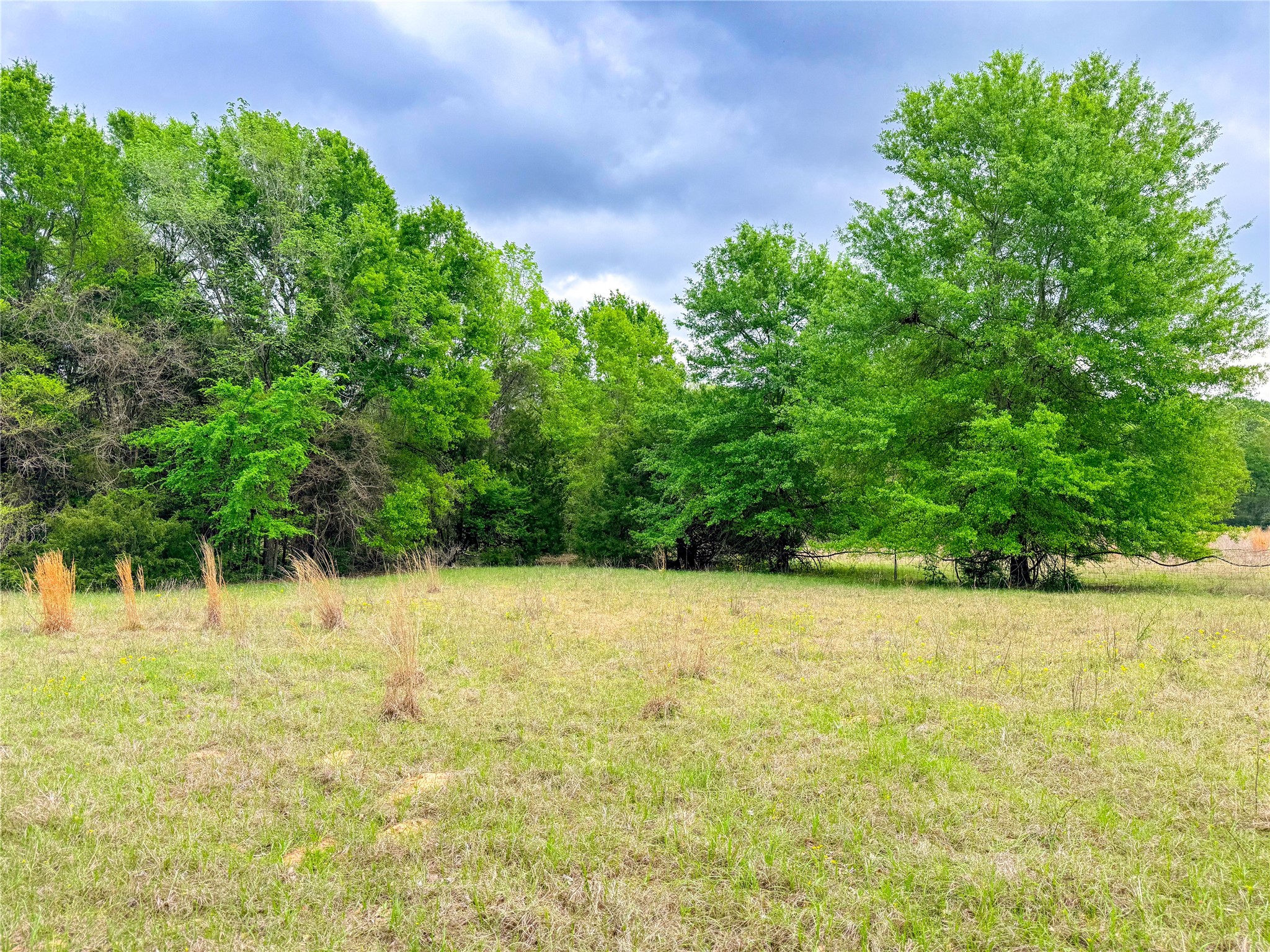 325 Fcr 261 Oakwood TX 75855