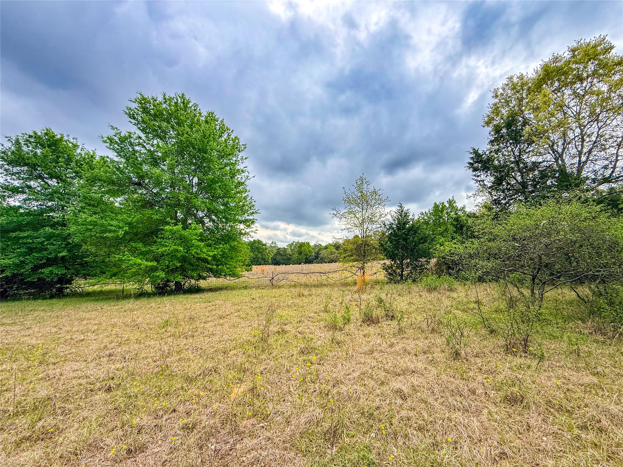 325 Fcr 261 Oakwood TX 75855