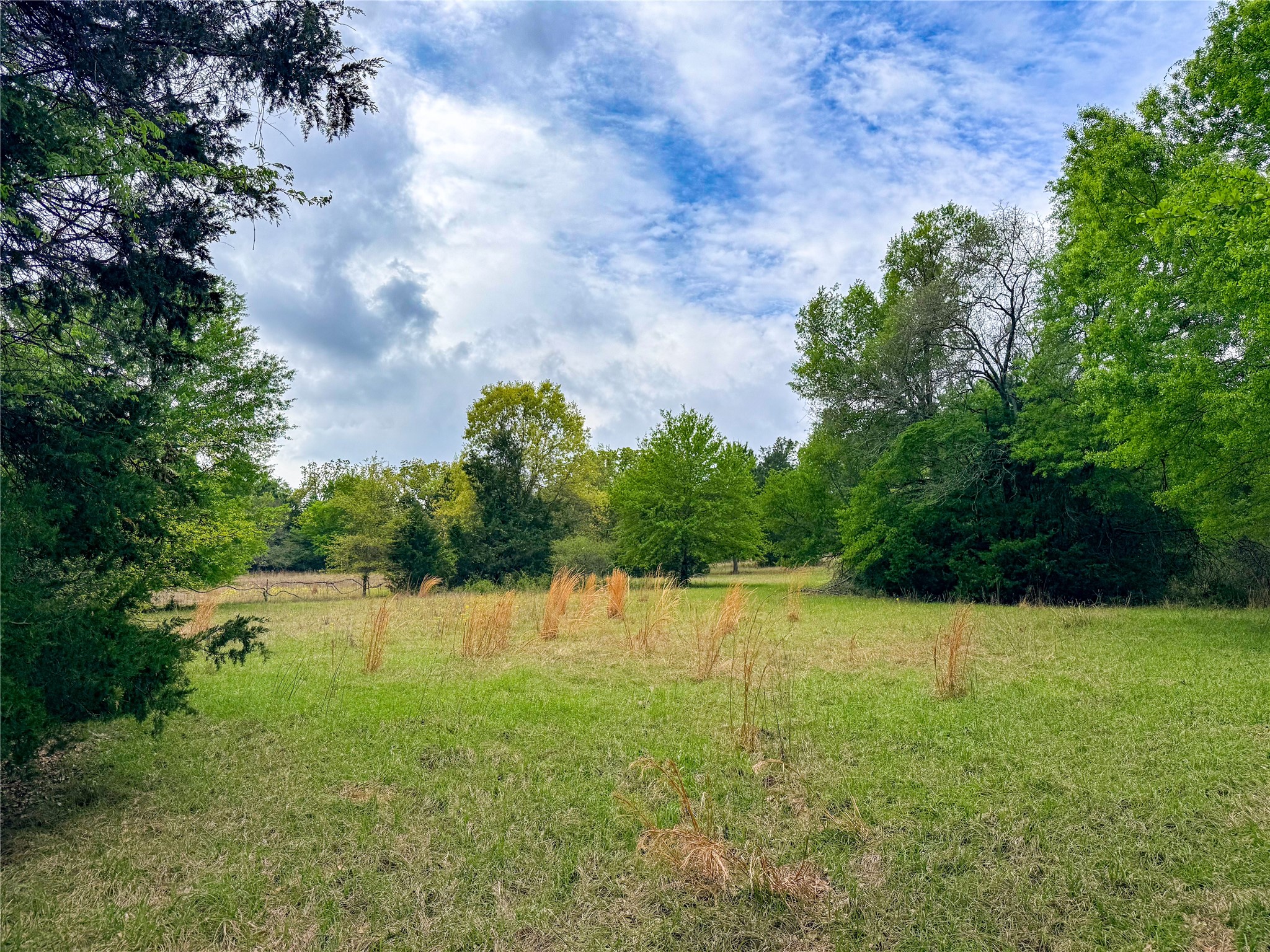 325 Fcr 261 Oakwood TX 75855