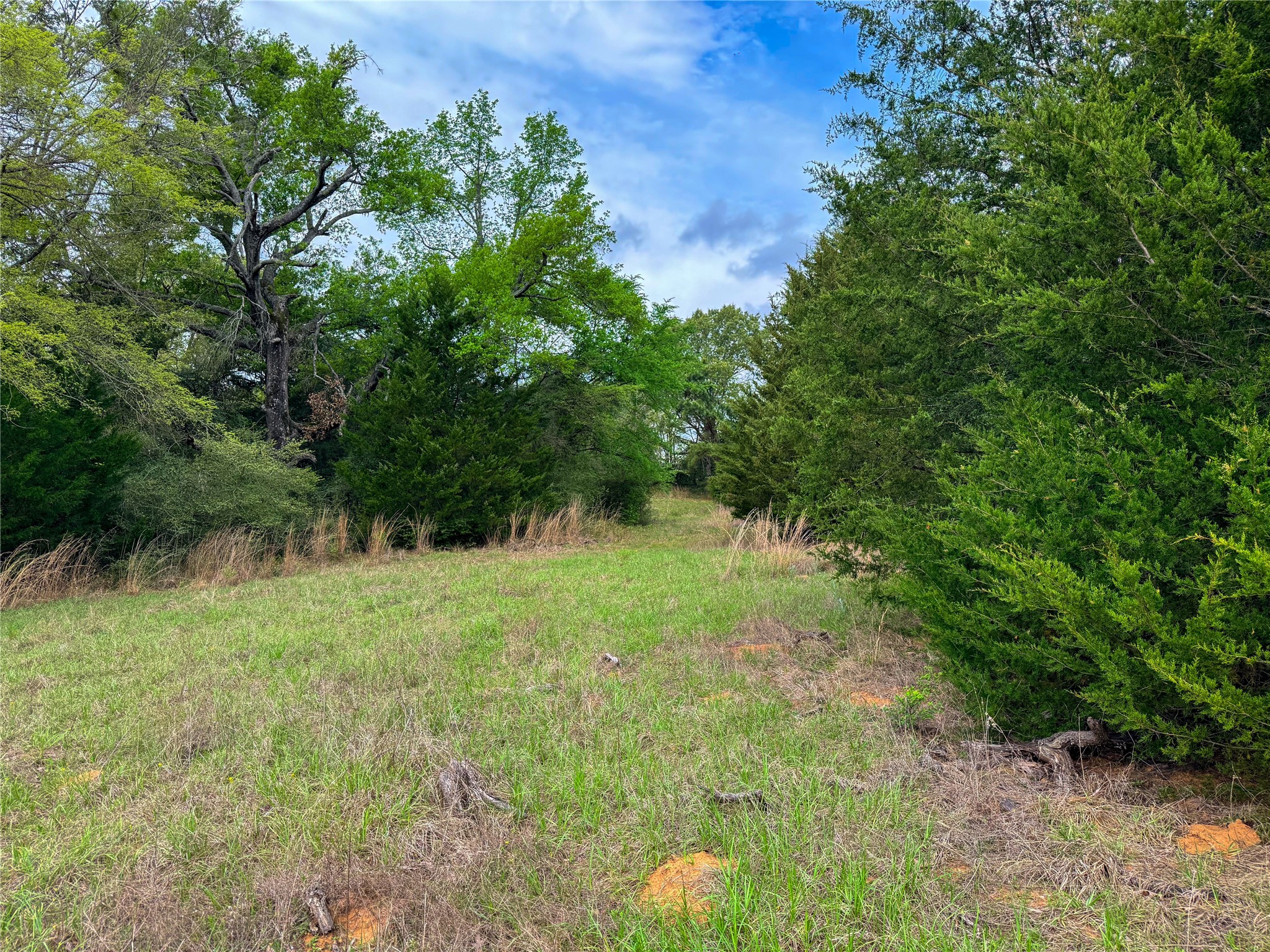 325 Fcr 261 Oakwood TX 75855