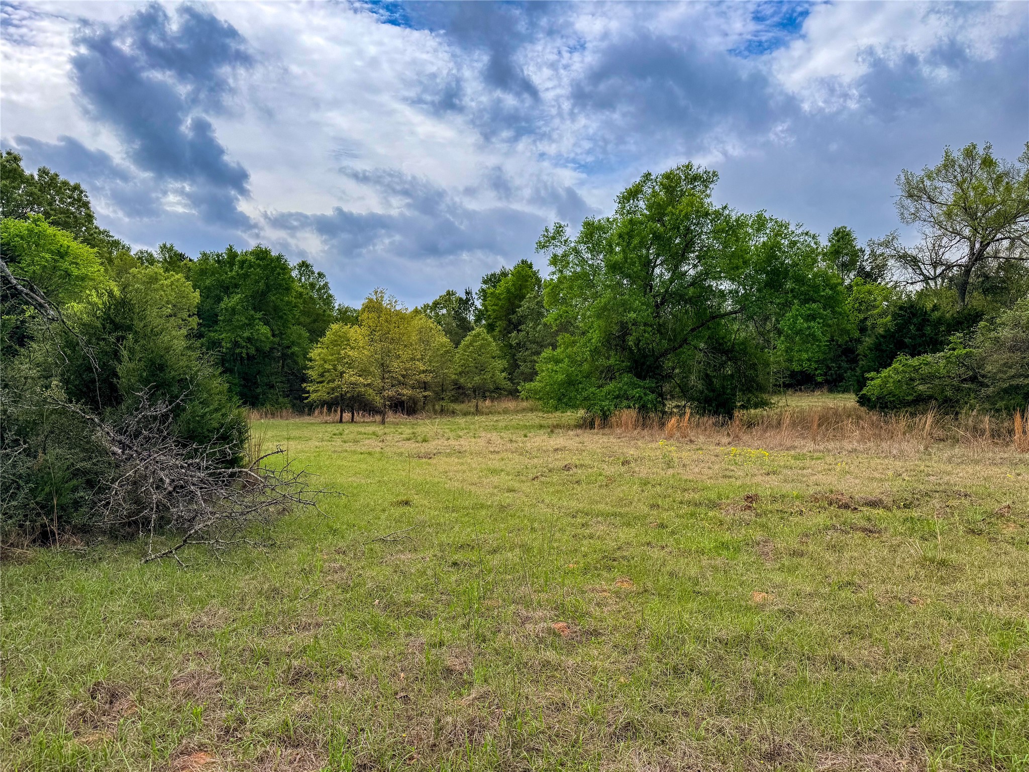 325 Fcr 261 Oakwood TX 75855