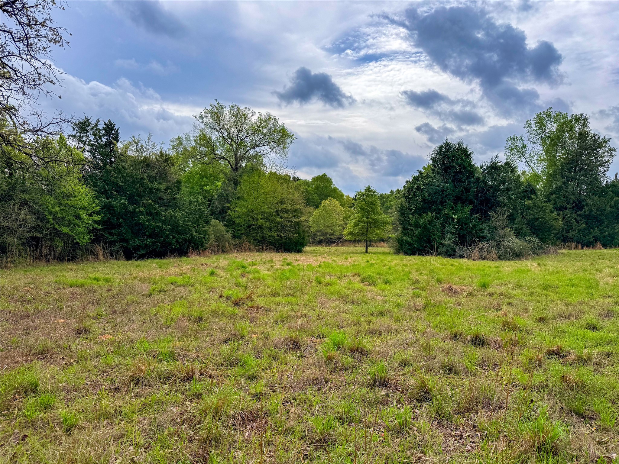 325 Fcr 261 Oakwood TX 75855