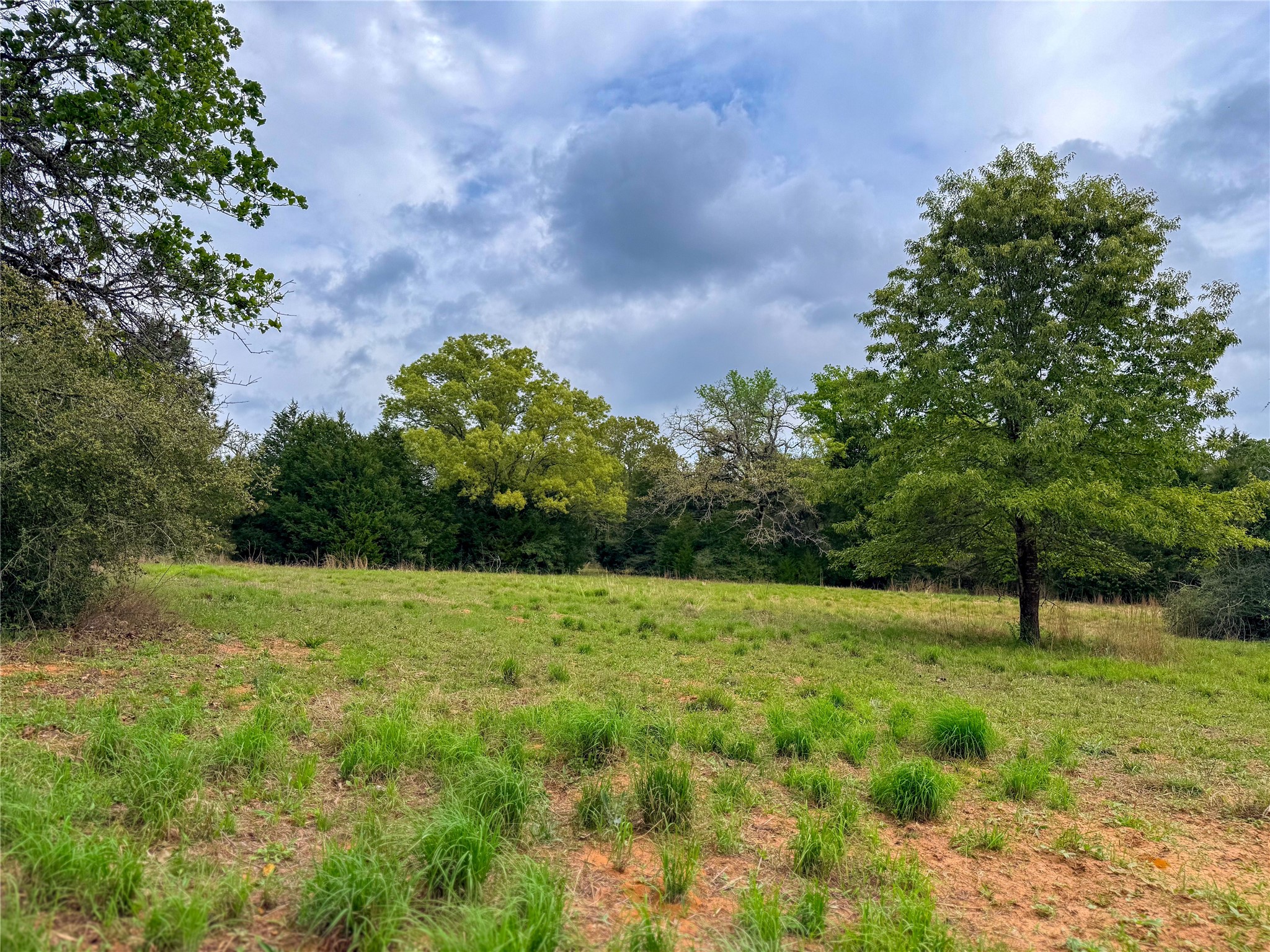 325 Fcr 261 Oakwood TX 75855
