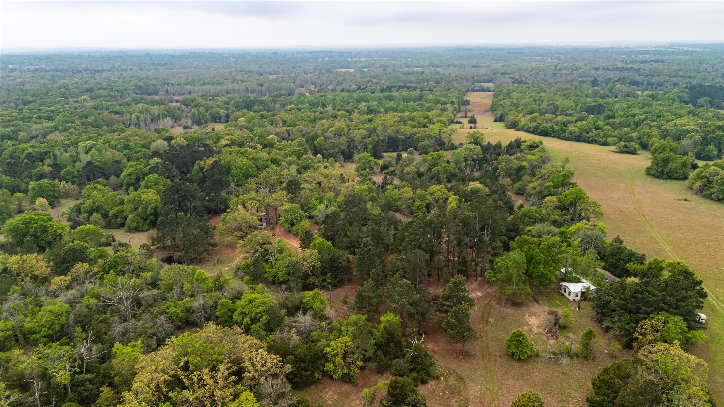 325 Fcr 261 Oakwood TX 75855
