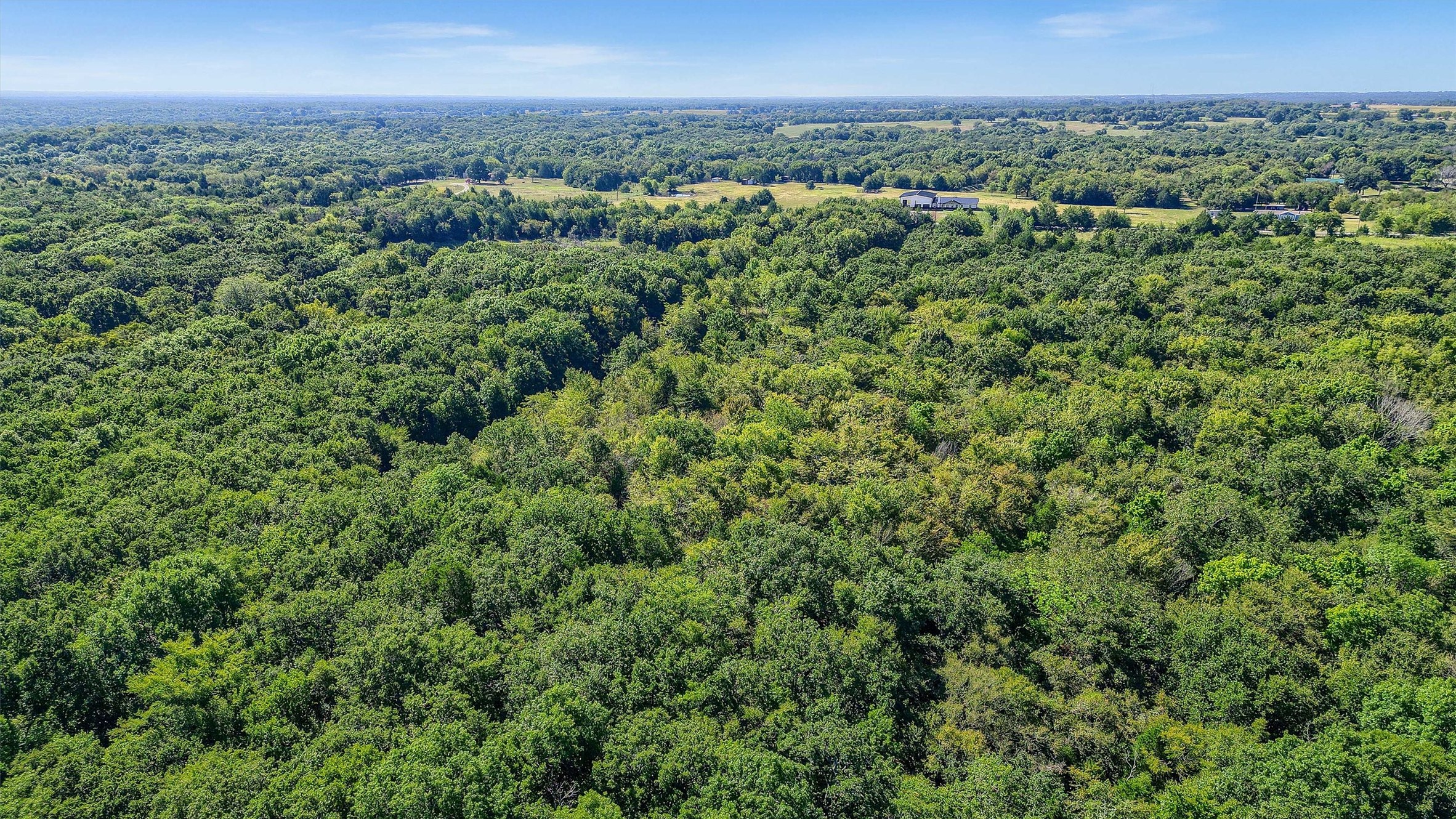 527 Copperas Road Sadler TX 76264