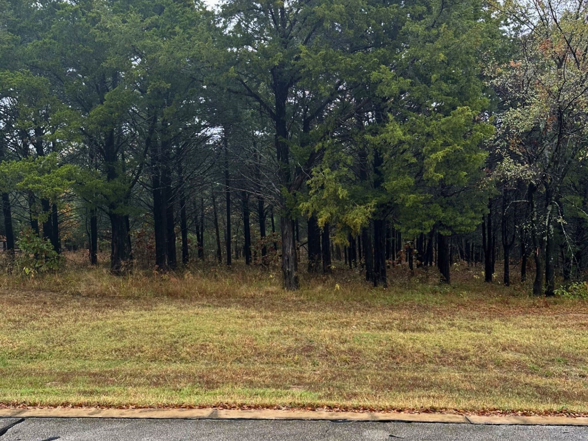 106 Barrington Circle Gordonville TX 76245