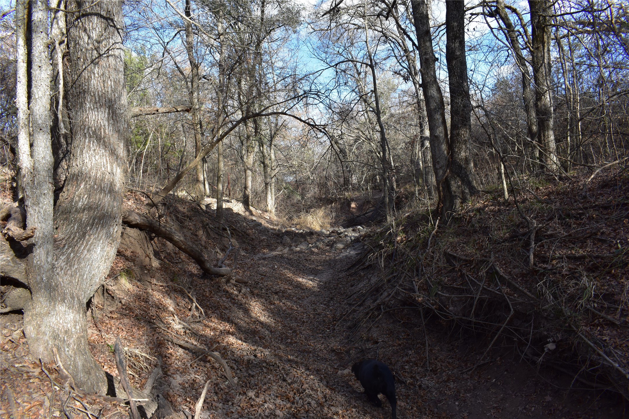 Tbd County Road 146 Lipan TX 76462