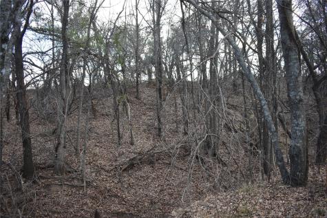 Tbd County Road 146 Lipan TX 76462