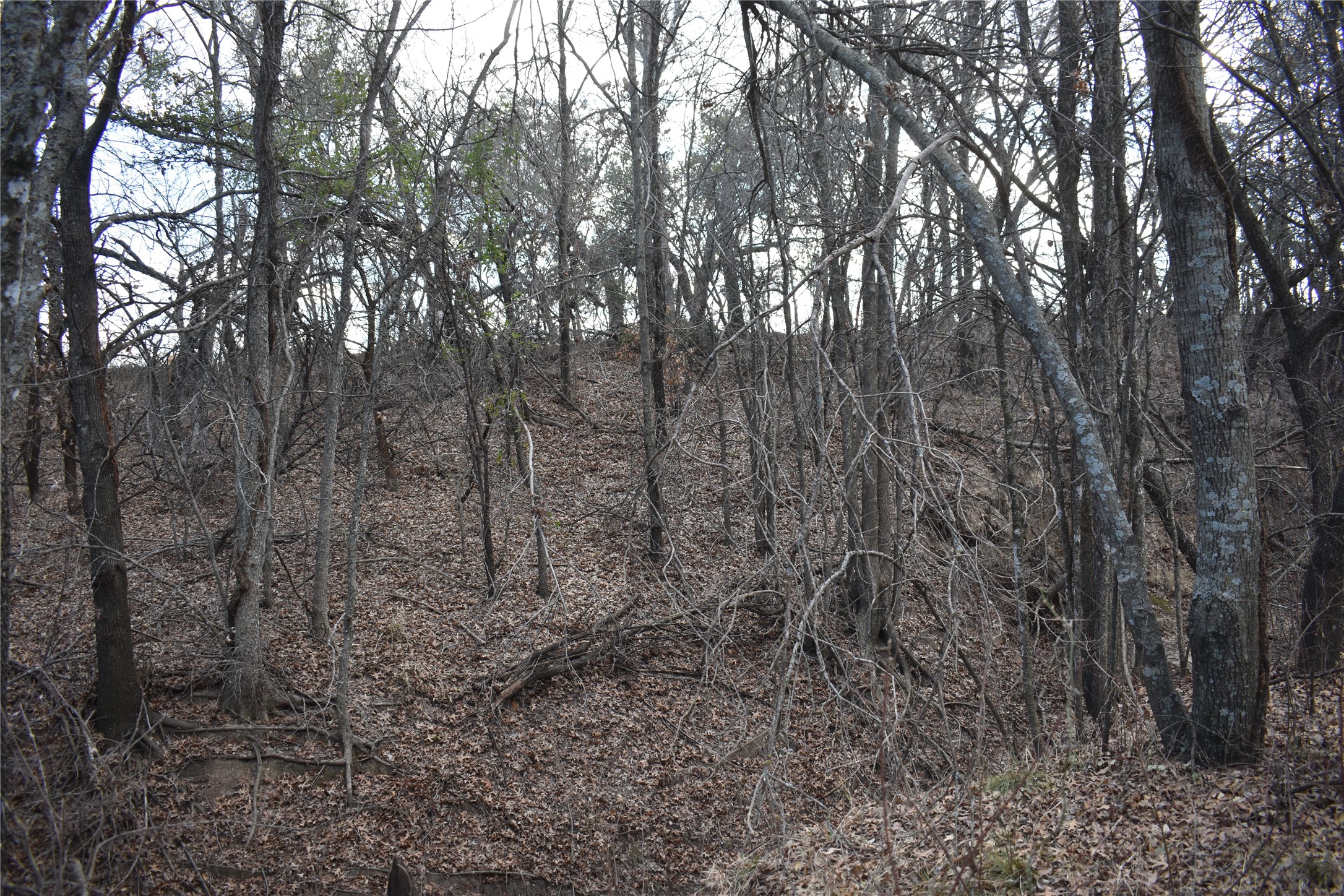 Tbd County Road 146 Lipan TX 76462