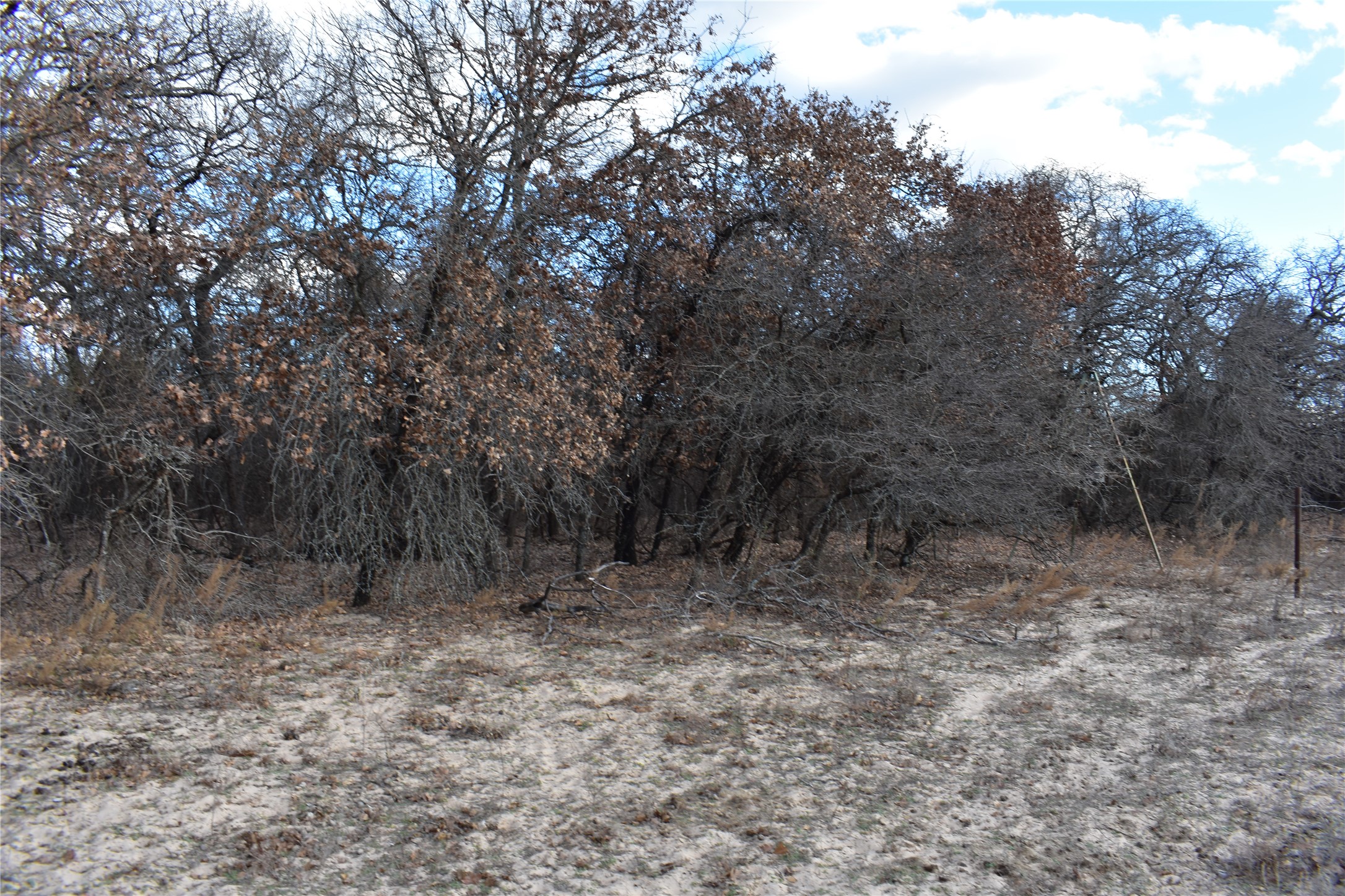 Tbd County Road 146 Lipan TX 76462