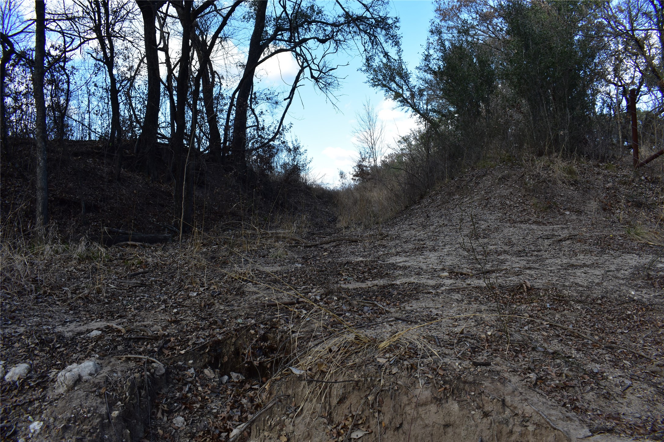 Tbd County Road 146 Lipan TX 76462