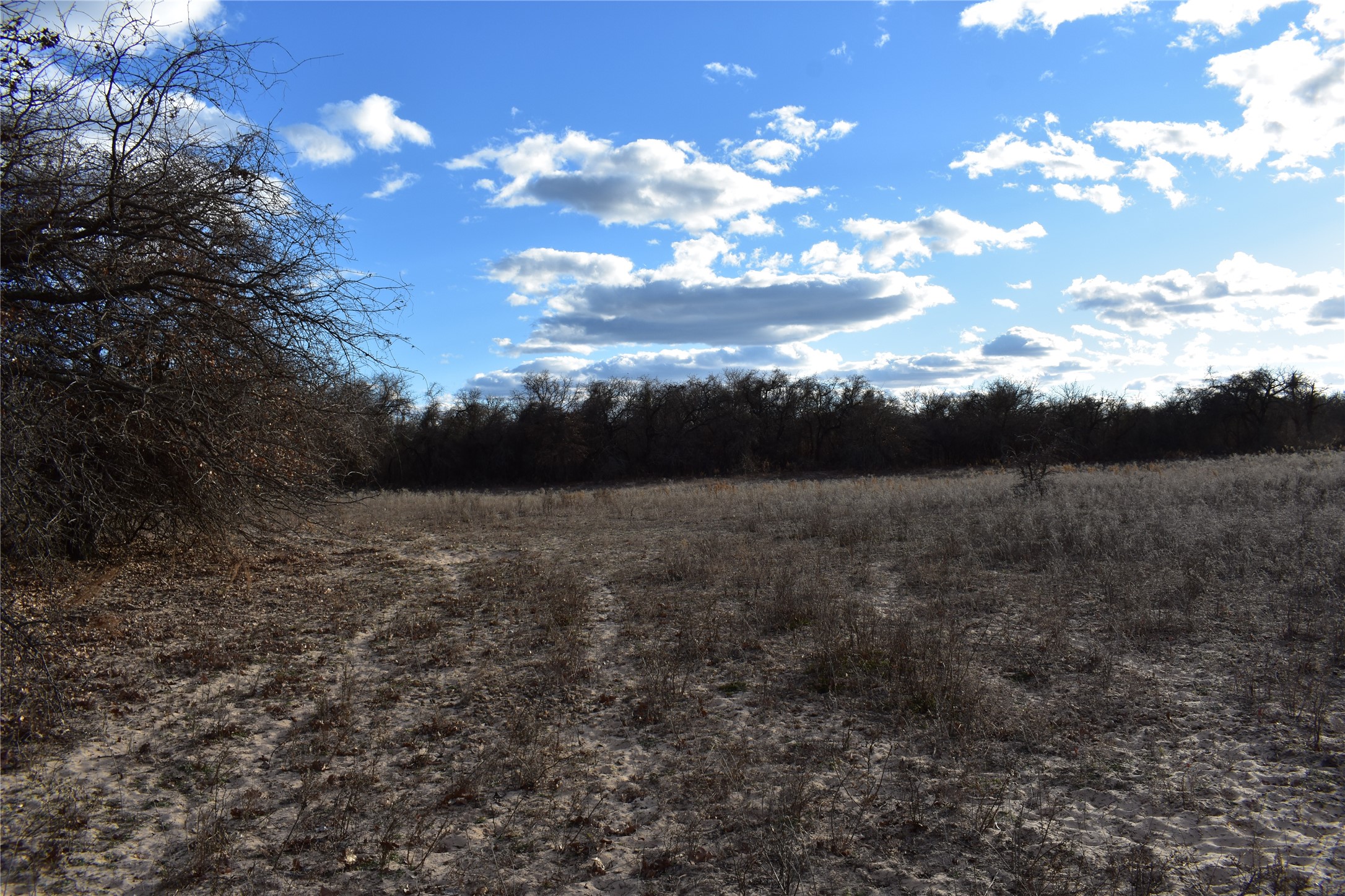 Tbd County Road 146 Lipan TX 76462