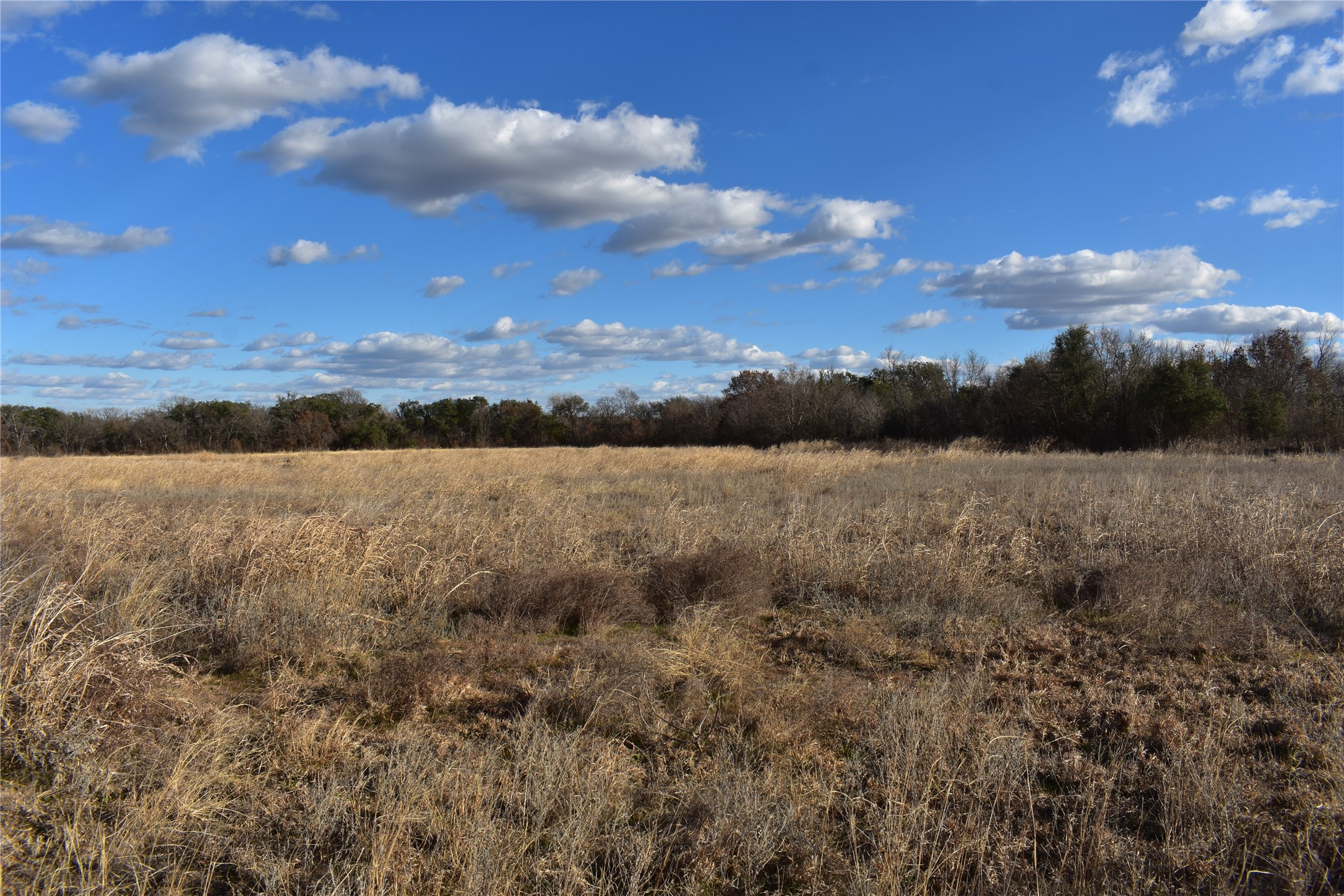 Tbd County Road 146 Lipan TX 76462
