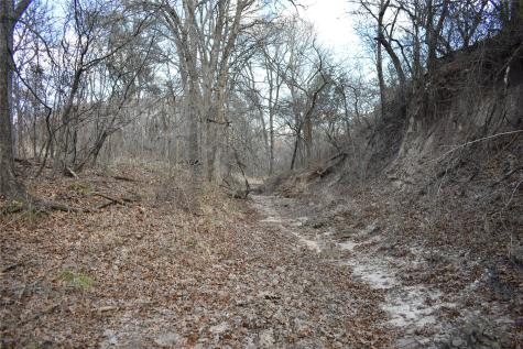 Tbd County Road 146 Lipan TX 76462