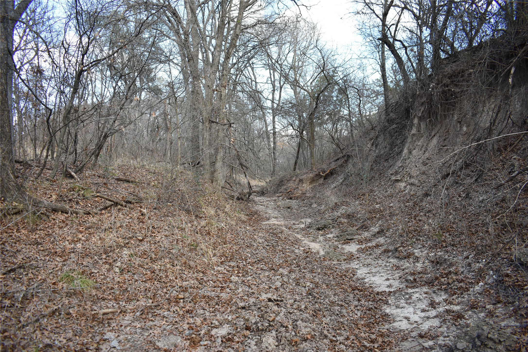 Tbd County Road 146 Lipan TX 76462
