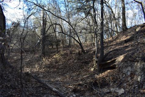 Tbd County Road 146 Lipan TX 76462