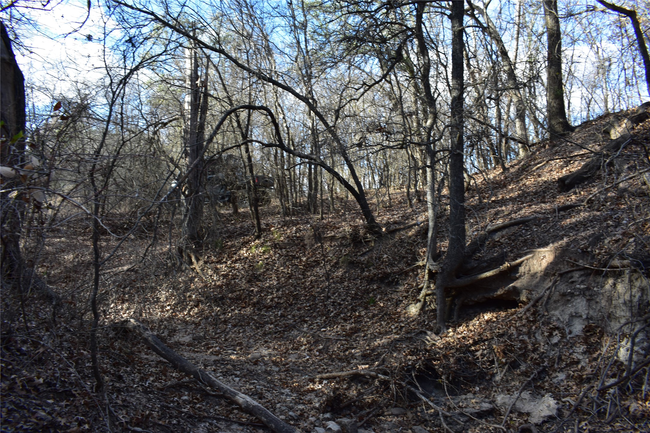 Tbd County Road 146 Lipan TX 76462