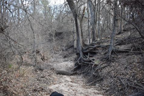 Tbd County Road 146 Lipan TX 76462