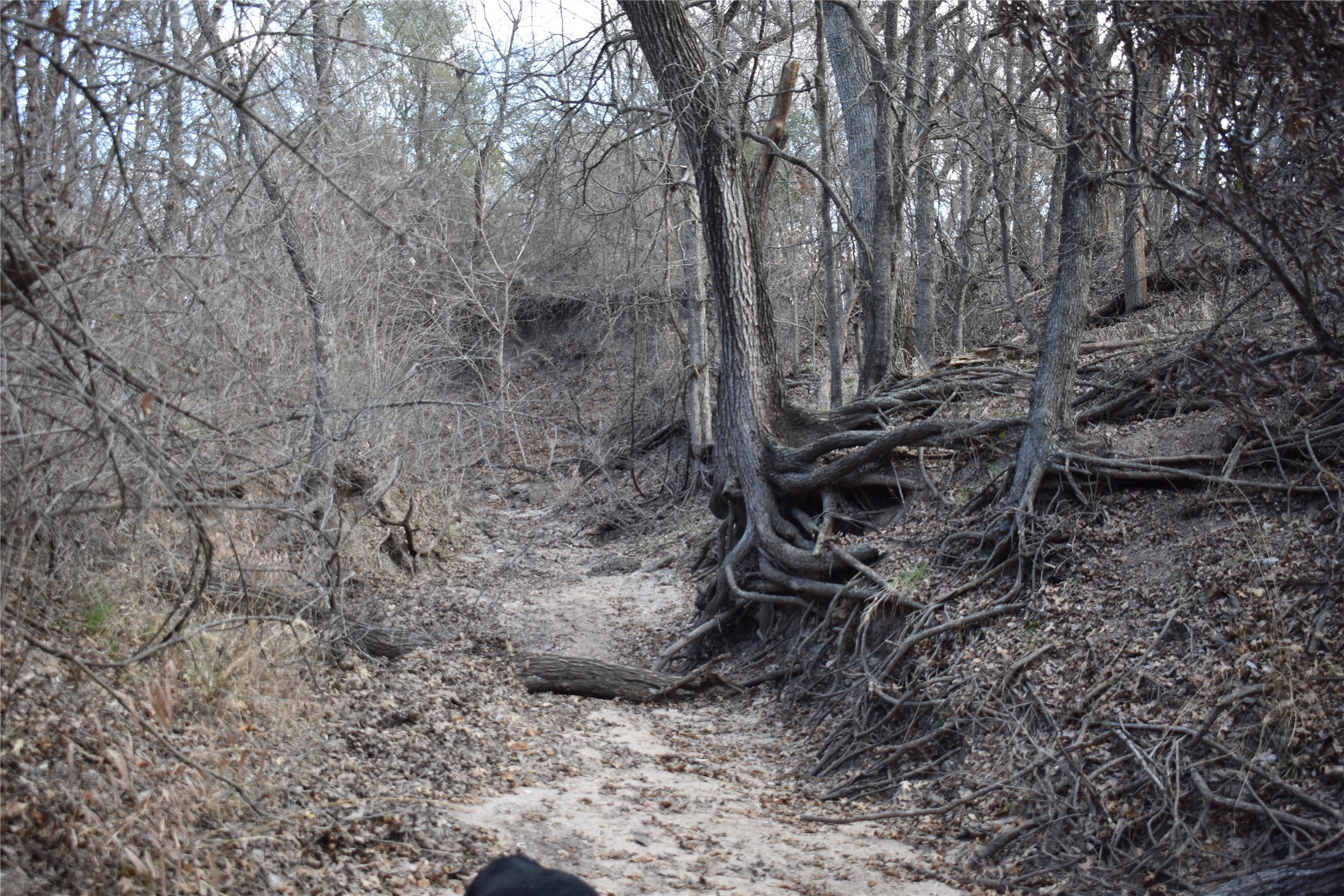 Tbd County Road 146 Lipan TX 76462