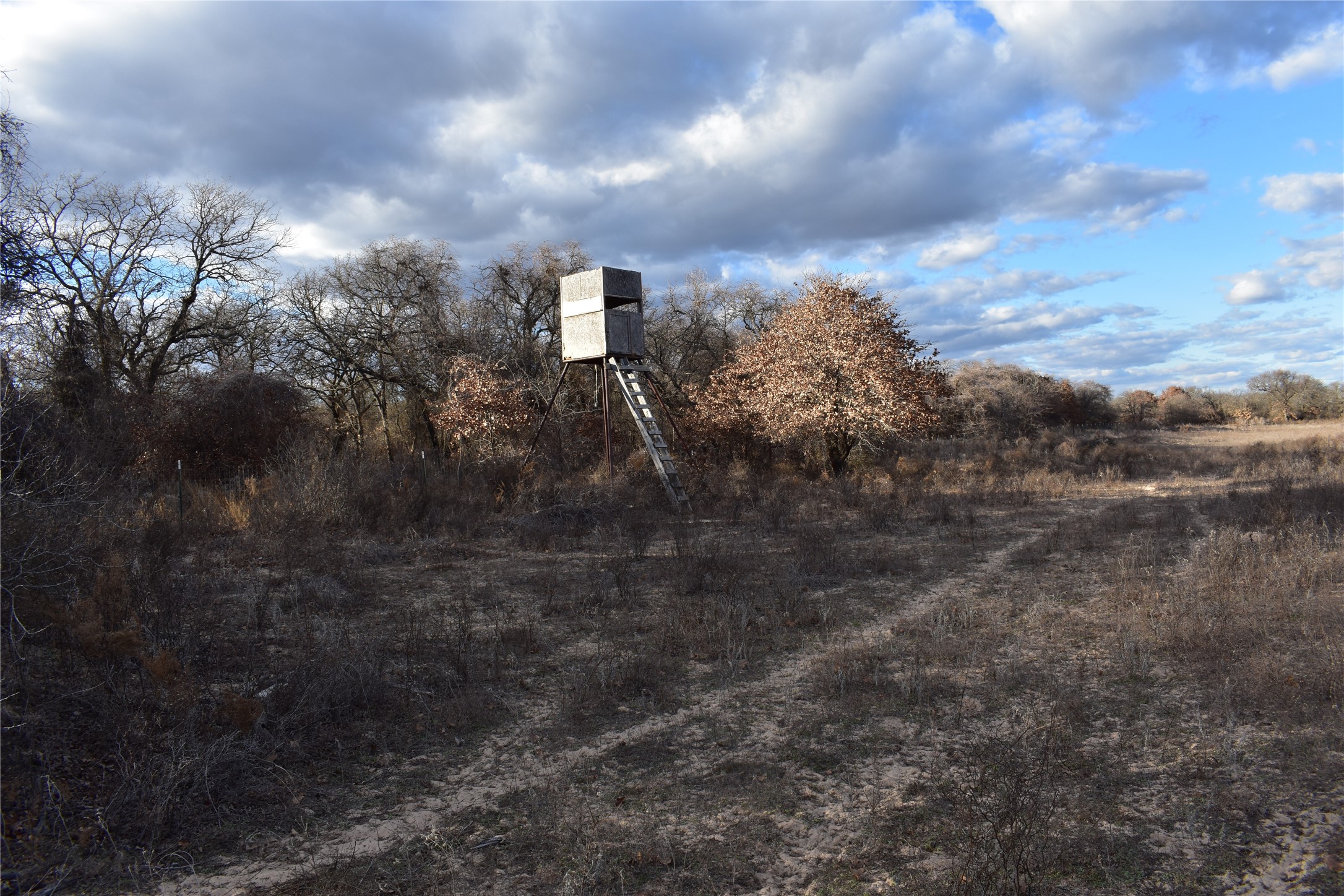 Tbd County Road 146 Lipan TX 76462