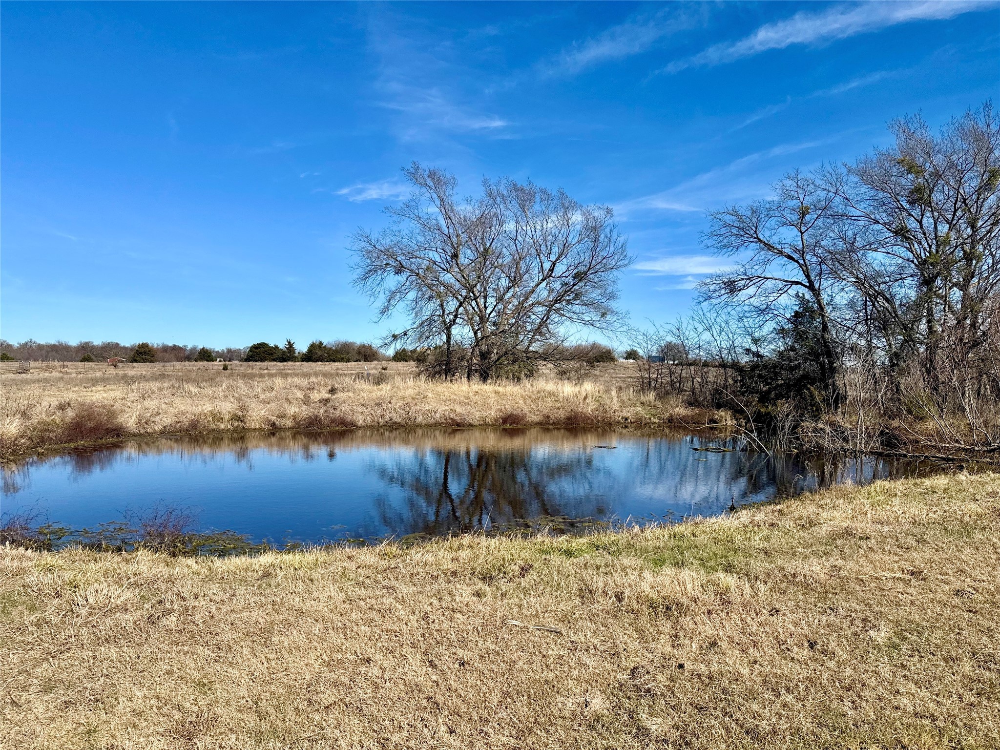 Tbd County Road 1043 Celeste TX 75423