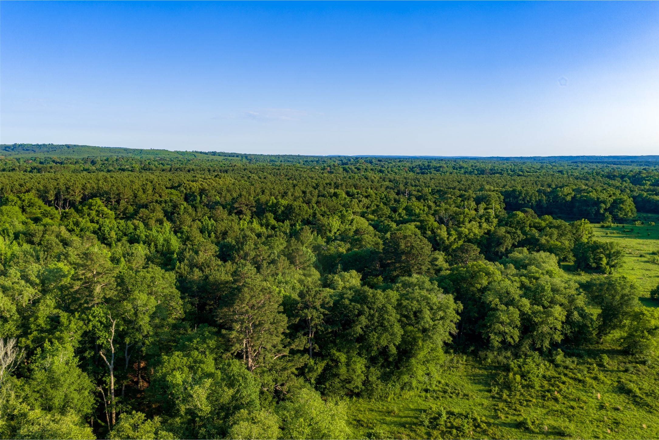 00 Farm To Market Road 747 Jacksonville TX 75766
