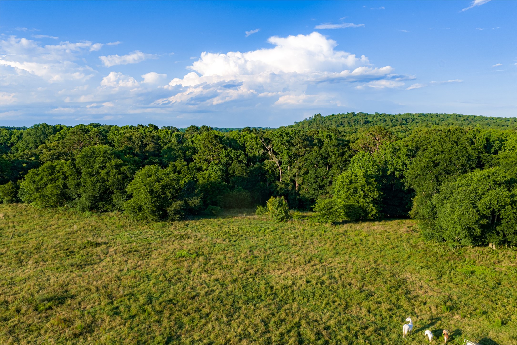 00 Farm To Market Road 747 Jacksonville TX 75766