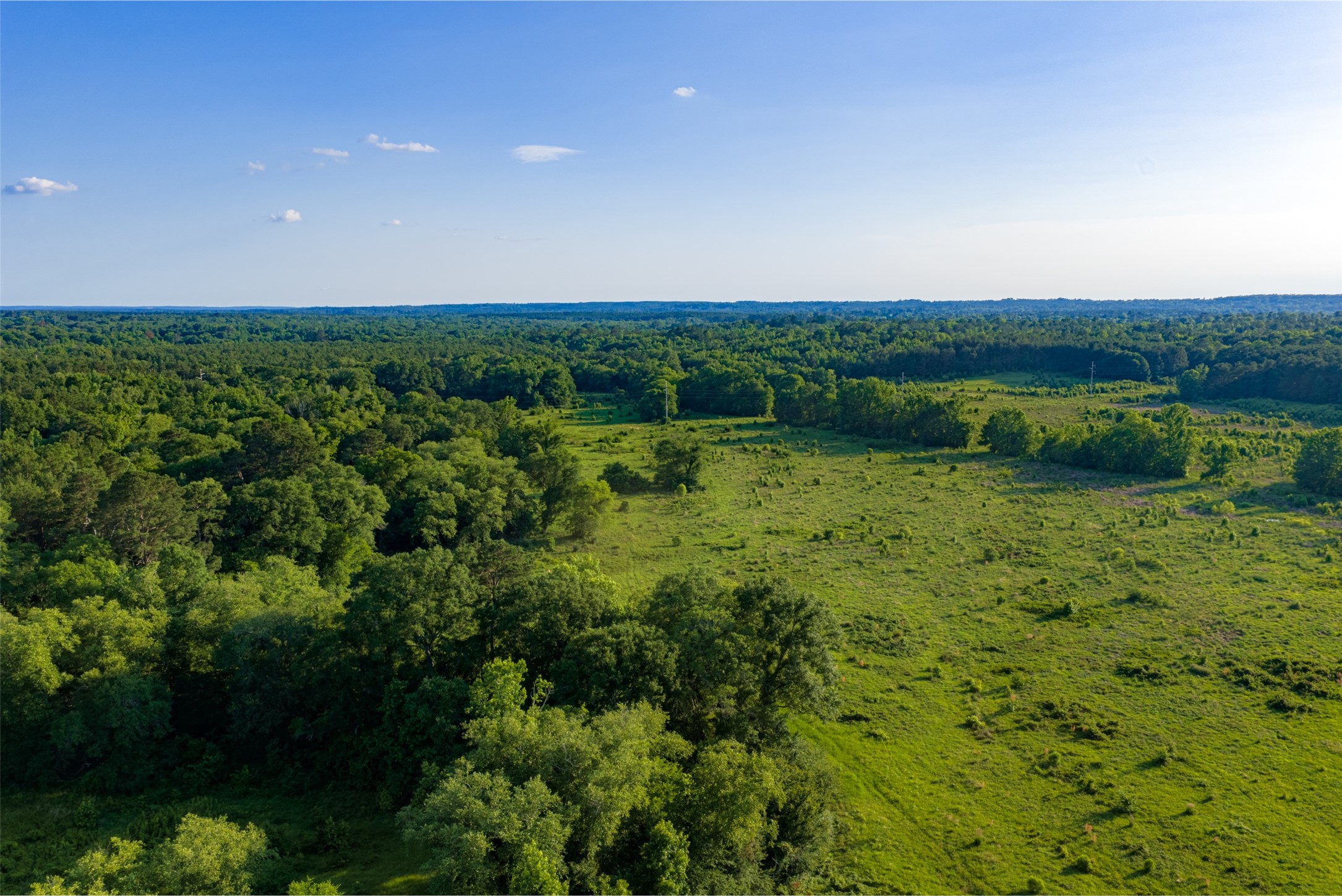 00 Farm To Market Road 747 Jacksonville TX 75766