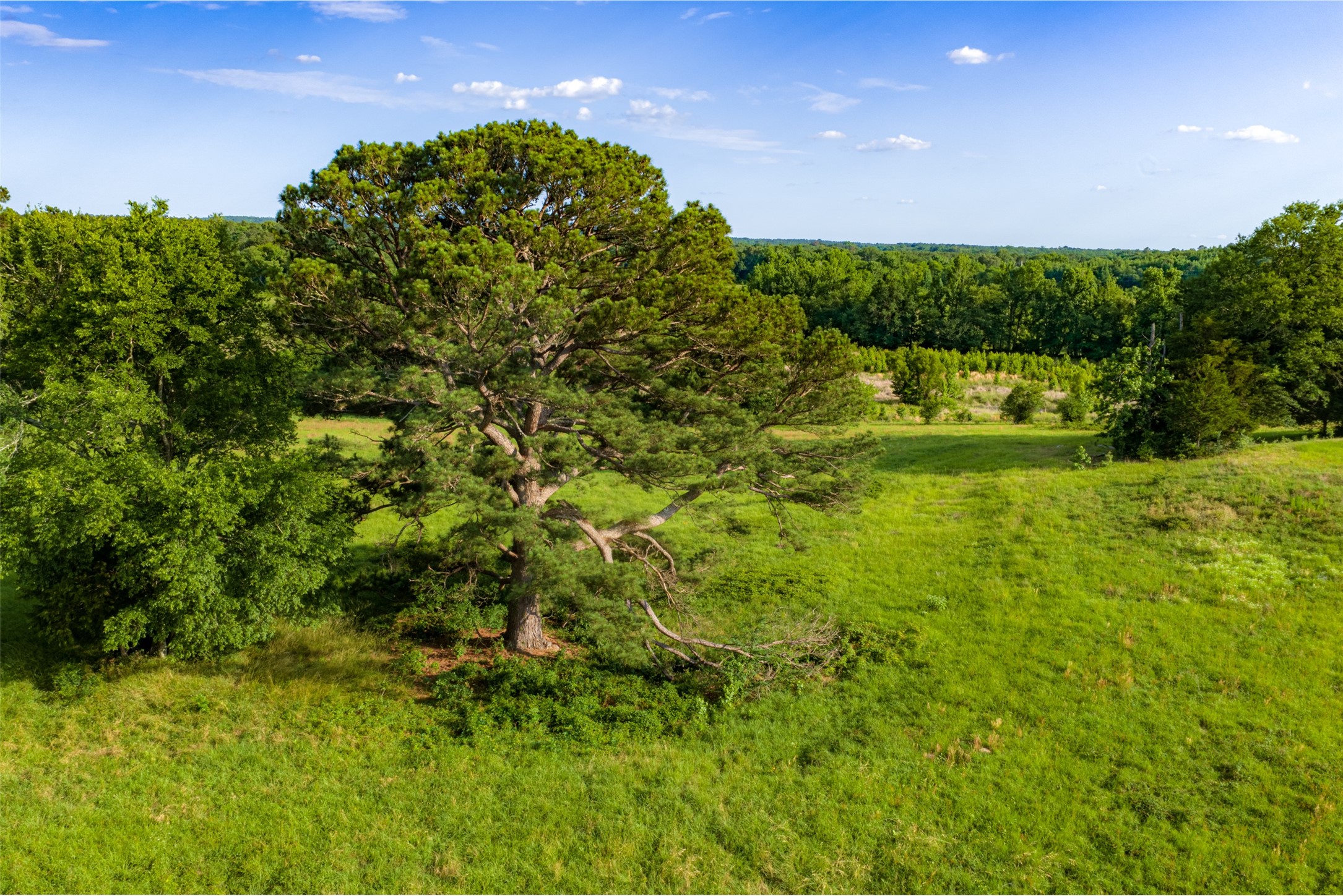 00 Farm To Market Road 747 Jacksonville TX 75766