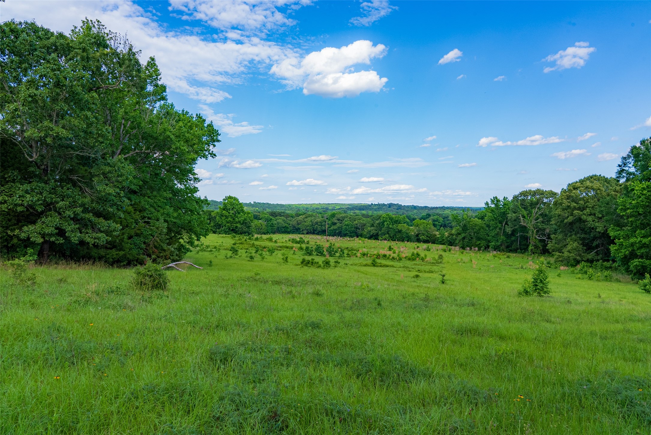 00 Farm To Market Road 747 Jacksonville TX 75766