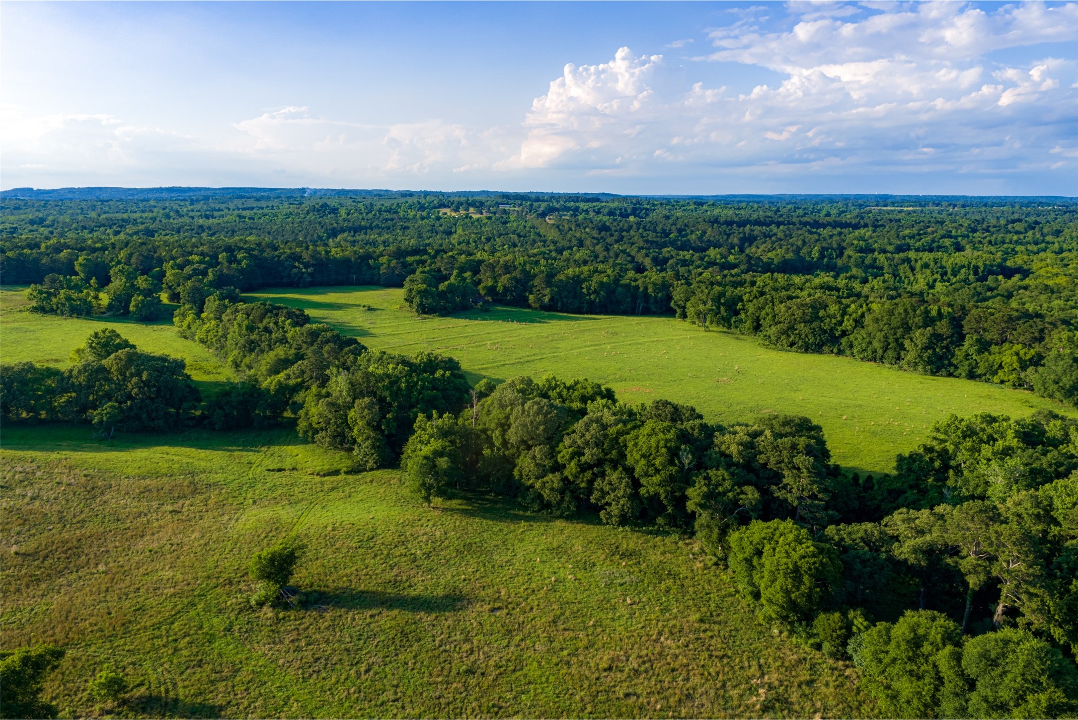 00 Farm To Market Road 747 Jacksonville TX 75766