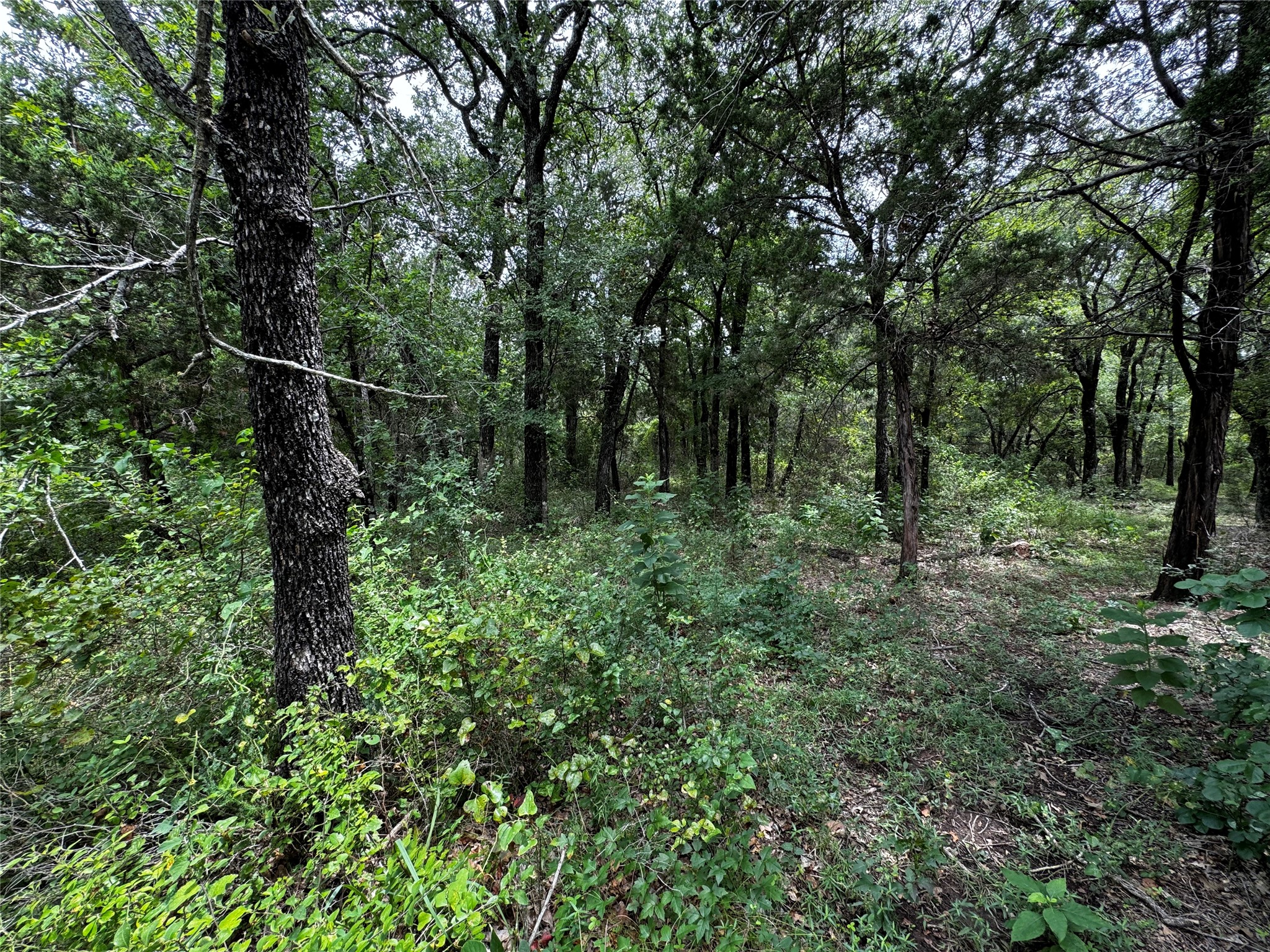 4044 High Point Drive Whitney TX 76692