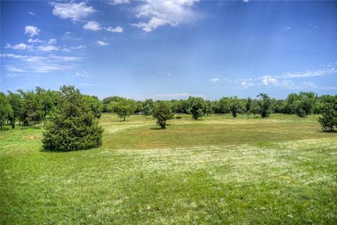 Tbd Long Branch Drive Greenville TX 75402