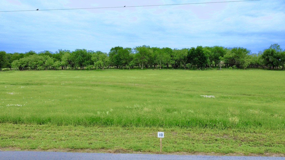 Lot 10 Alfonso Drive Corsicana TX 75110