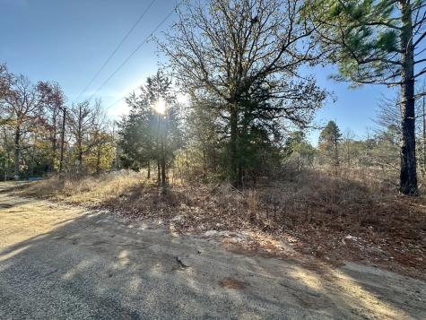 Lot 529 Hickory Lane Mineola TX 75773