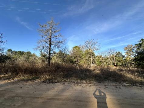 Lot 529 Hickory Lane Mineola TX 75773