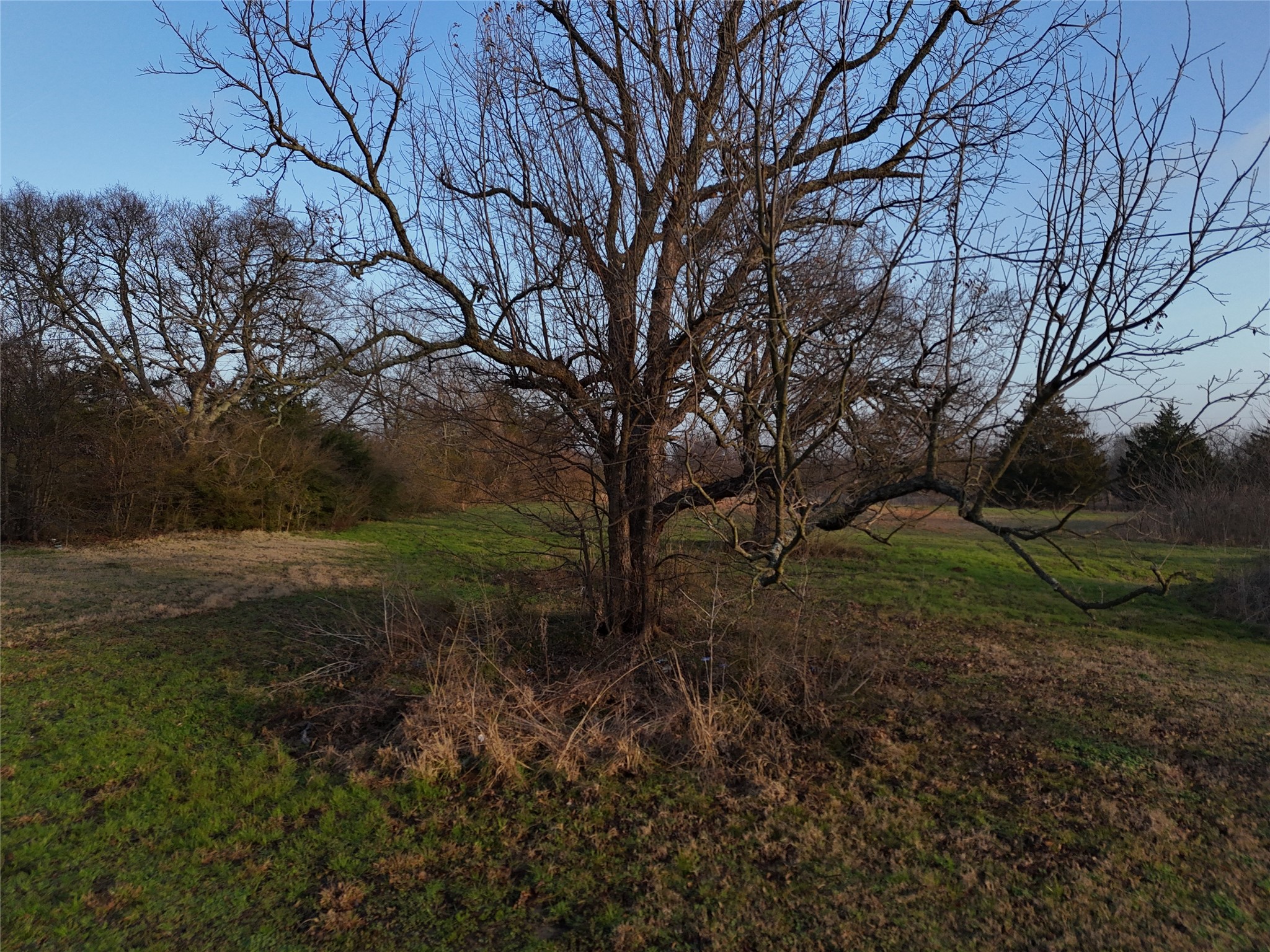 214 Highway 34 Ladonia TX 75449