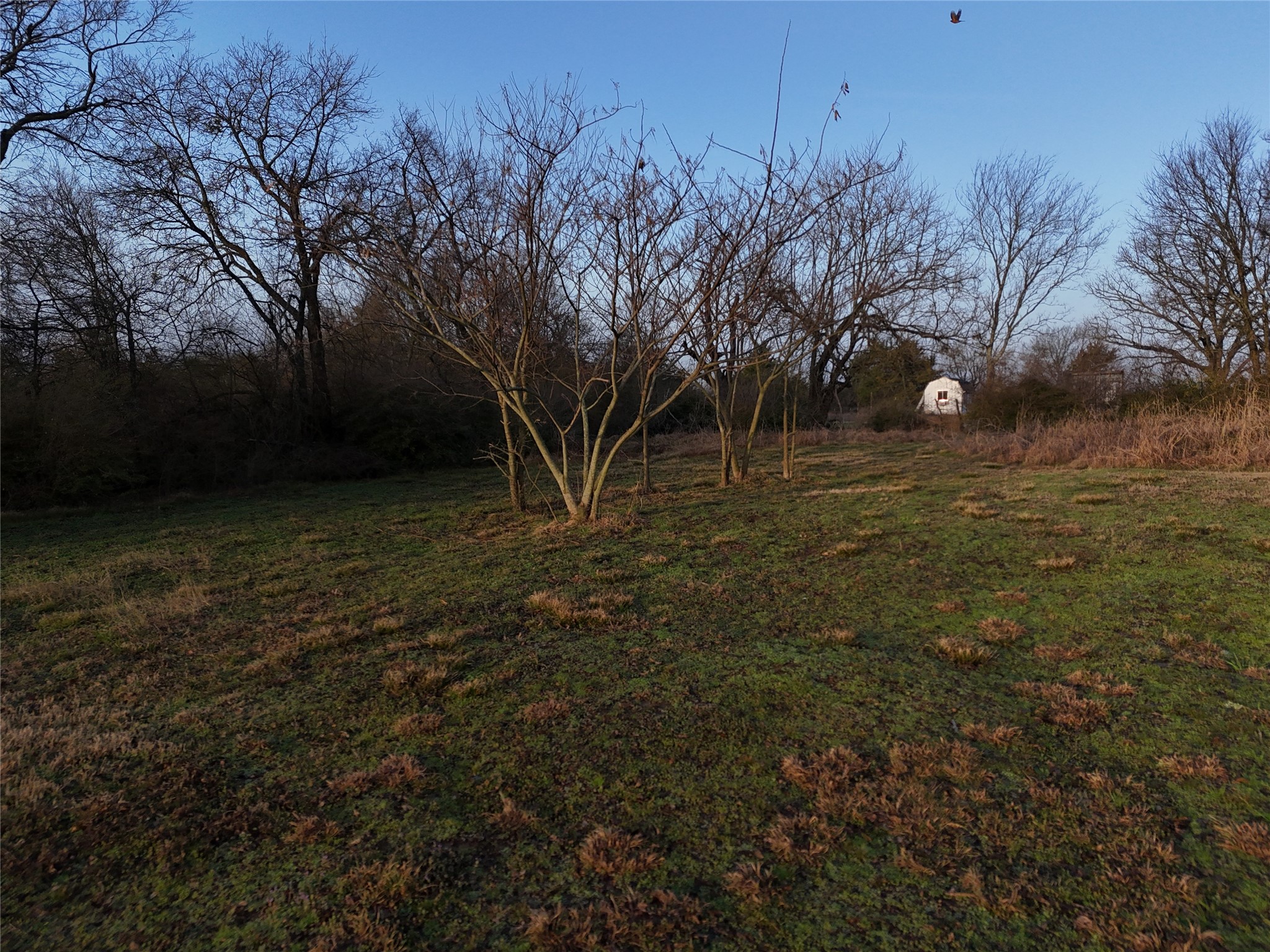 214 Highway 34 Ladonia TX 75449