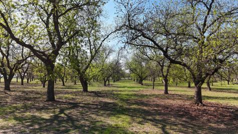 000 Pecan Lane Newcastle TX 76372