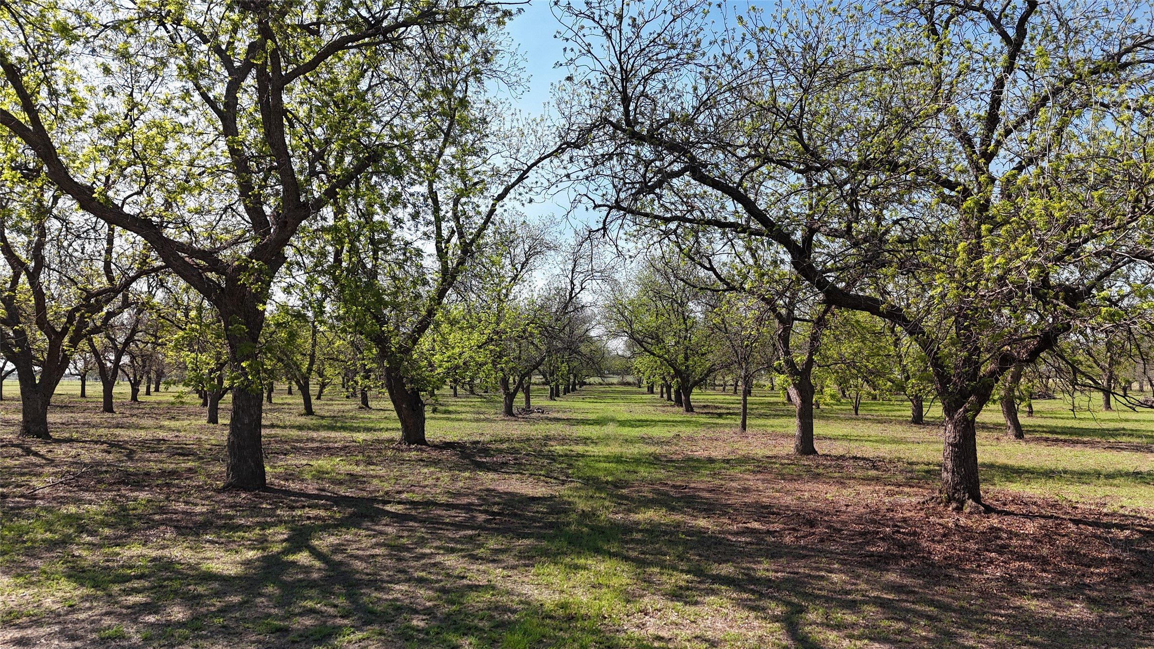 000 Pecan Lane Newcastle TX 76372