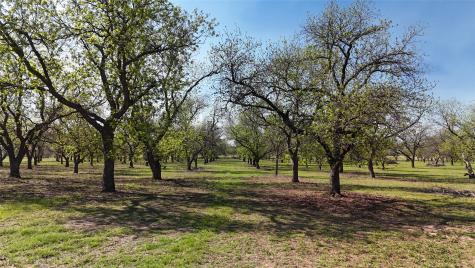 000 Pecan Lane Newcastle TX 76372