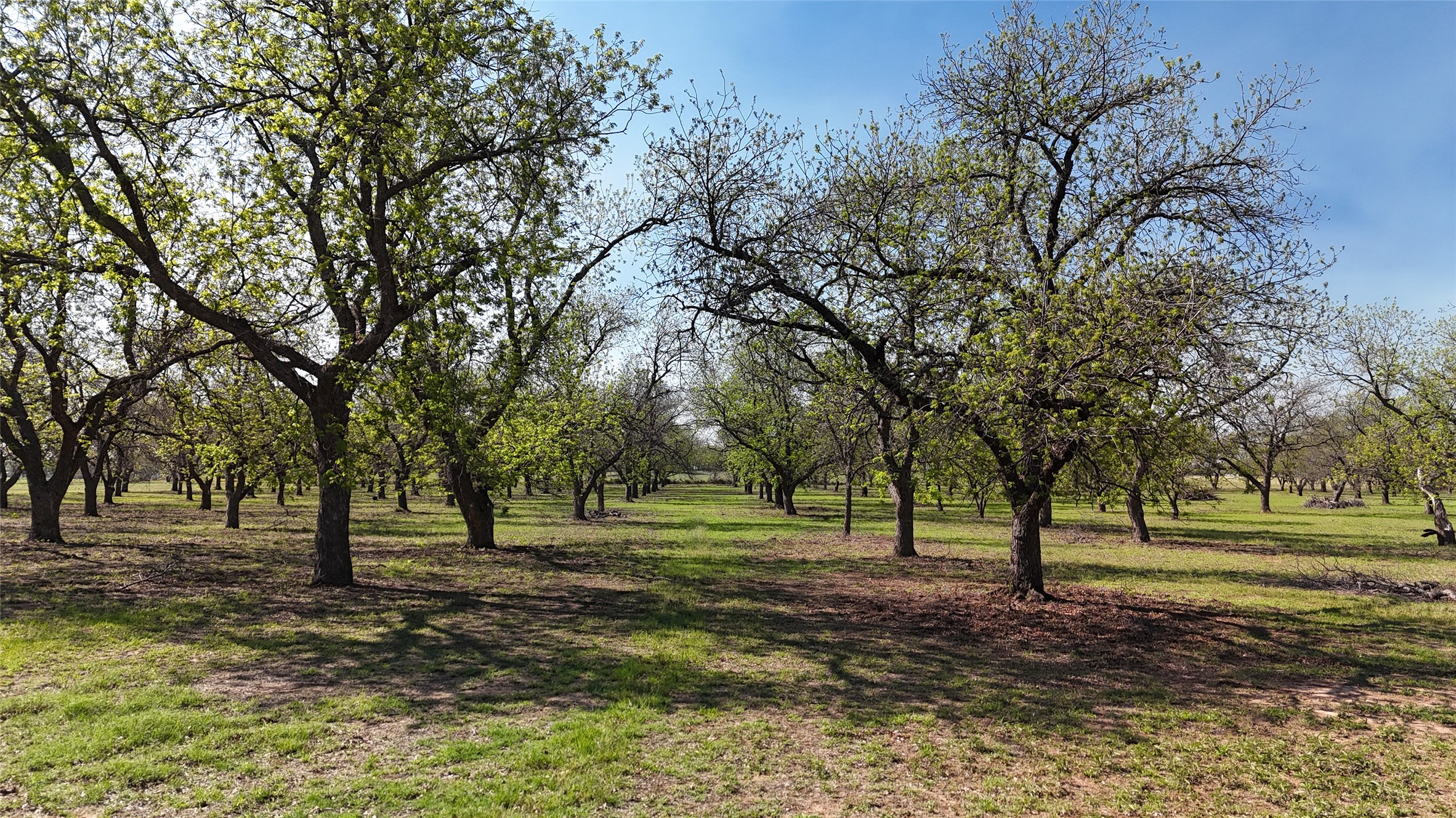 000 Pecan Lane Newcastle TX 76372