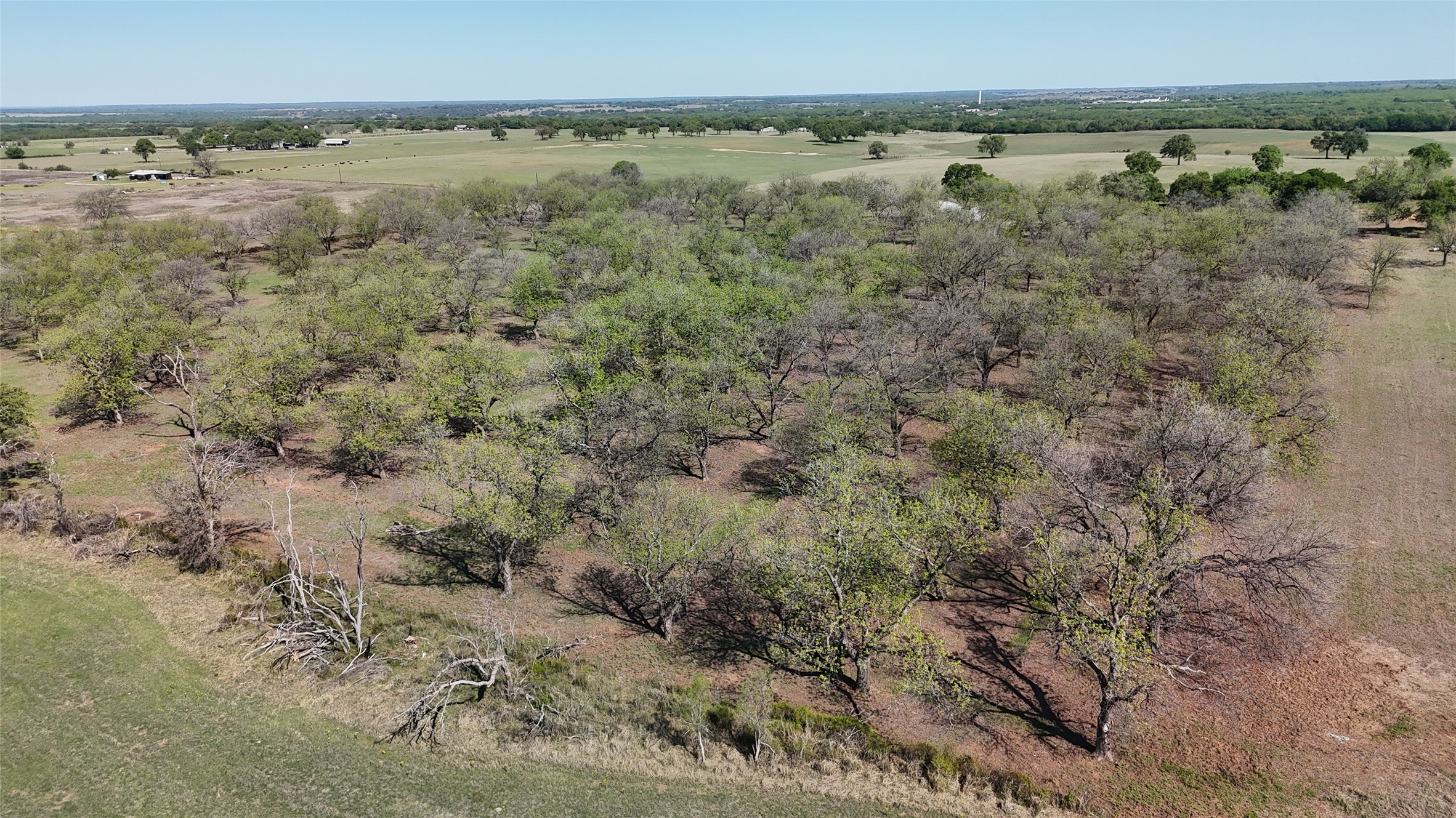 000 Pecan Lane Newcastle TX 76372