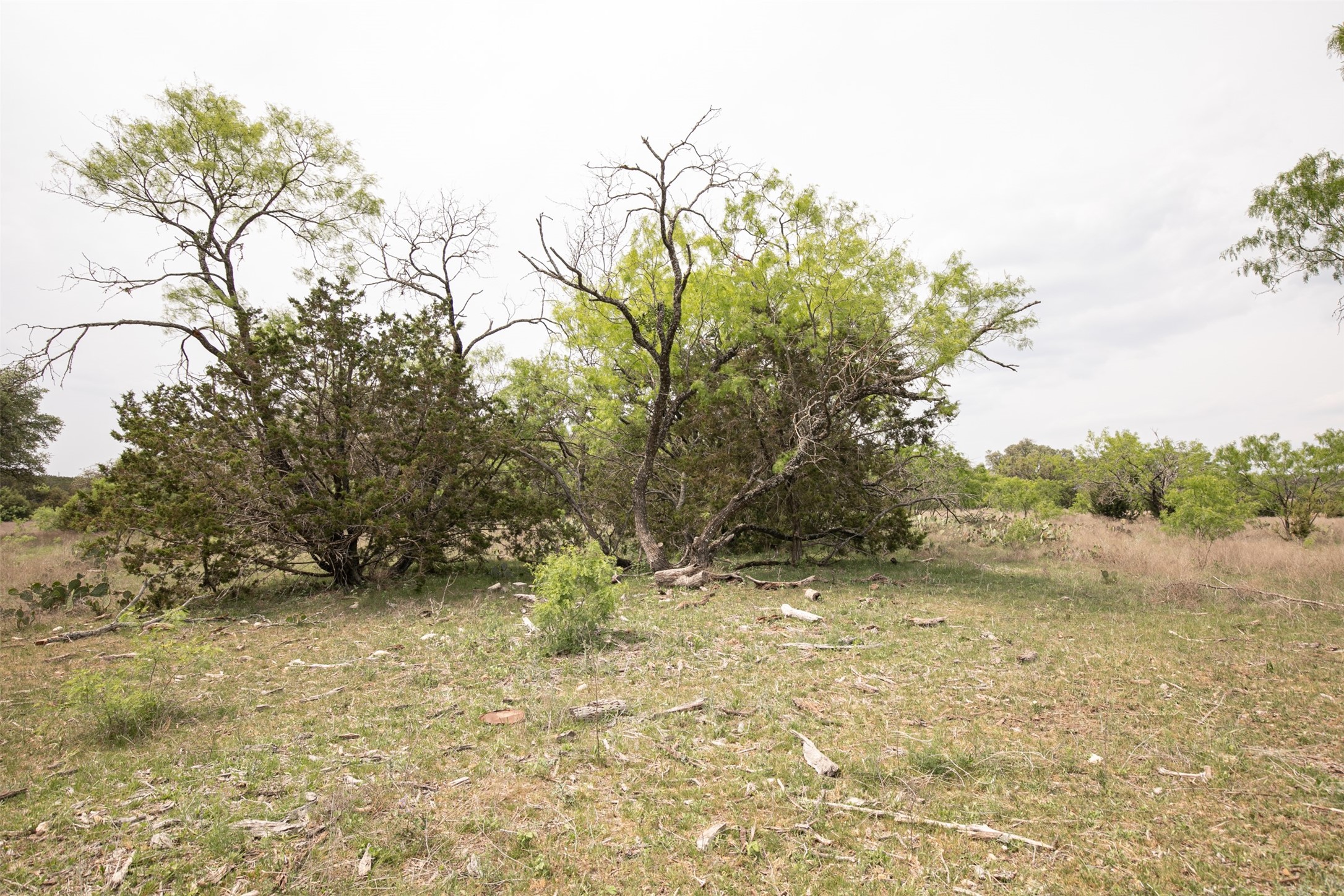 Lot 23 Shin Oak Drive Lampasas TX 76550